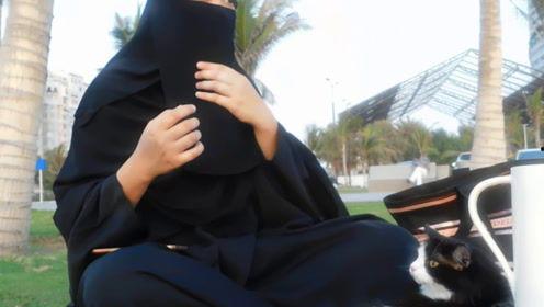 娱乐吃瓜君打底裤